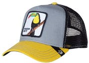 Cap Toucan Iggy Nar Nar - Grey